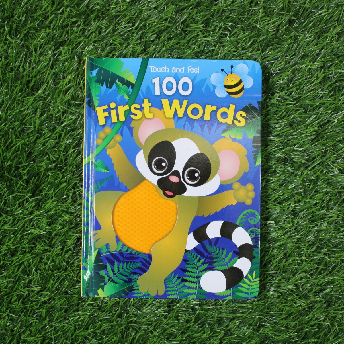 Touch And Feel 100 Words