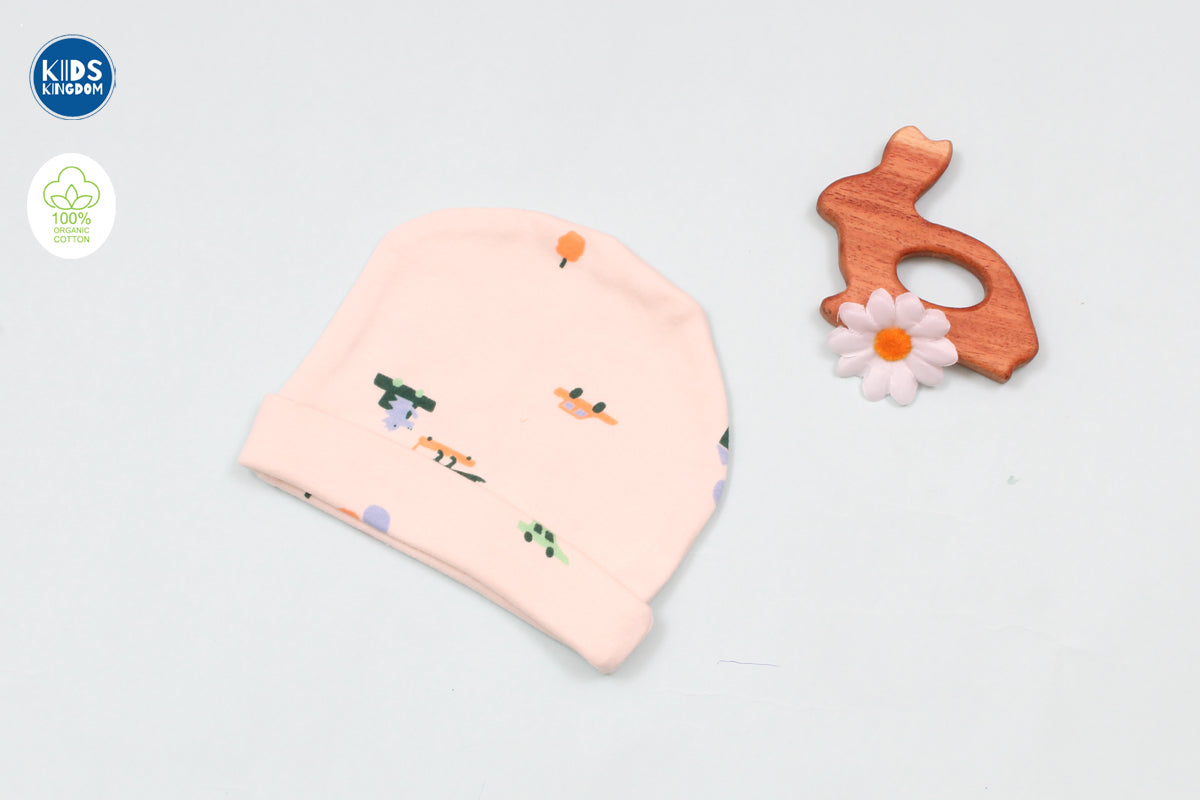 Premium Cap Mitten Booties Dino