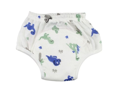 Muslin Padded Underwear Grey and Blue Dino