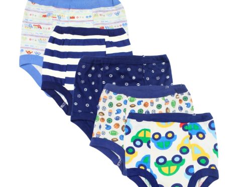 Potty Training Pants Blue Colour Pack of 5